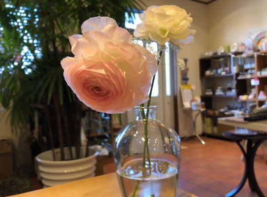 Life  with  Aroma