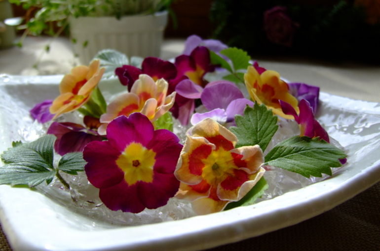 臨時休業のお知らせ