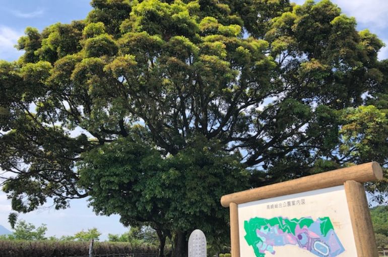 臨時休業のお知らせ