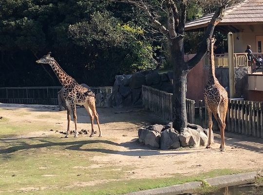 平川動物園巡り