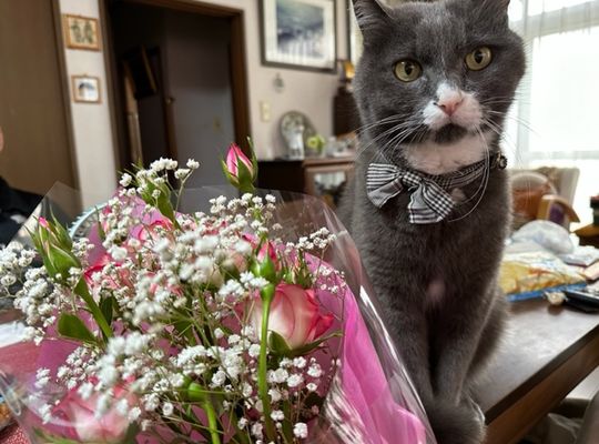 入院の振り替え授業が！